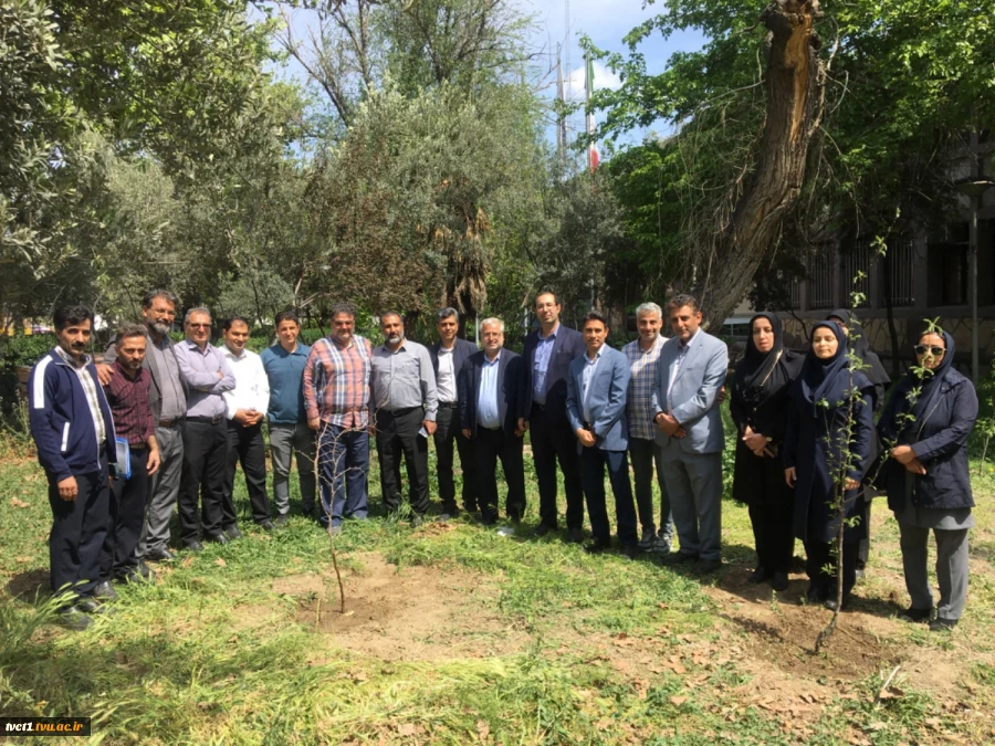 با حضور سرپرست دانشگاه ملی مهارت استان تهران صورت گرفت:

کاشت دو اصله نهال مثمر در پویش "نهال امید" در دانشکده فنی انقلاب اسلامی 2