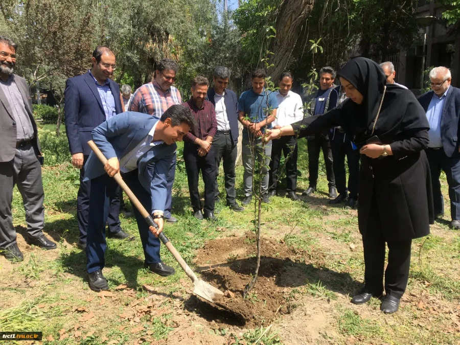 با حضور سرپرست دانشگاه ملی مهارت استان تهران صورت گرفت:

کاشت دو اصله نهال مثمر در پویش "نهال امید" در دانشکده فنی انقلاب اسلامی 2