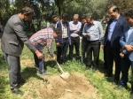 با حضور سرپرست دانشگاه ملی مهارت استان تهران صورت گرفت:

کاشت دو اصله نهال مثمر در پویش 