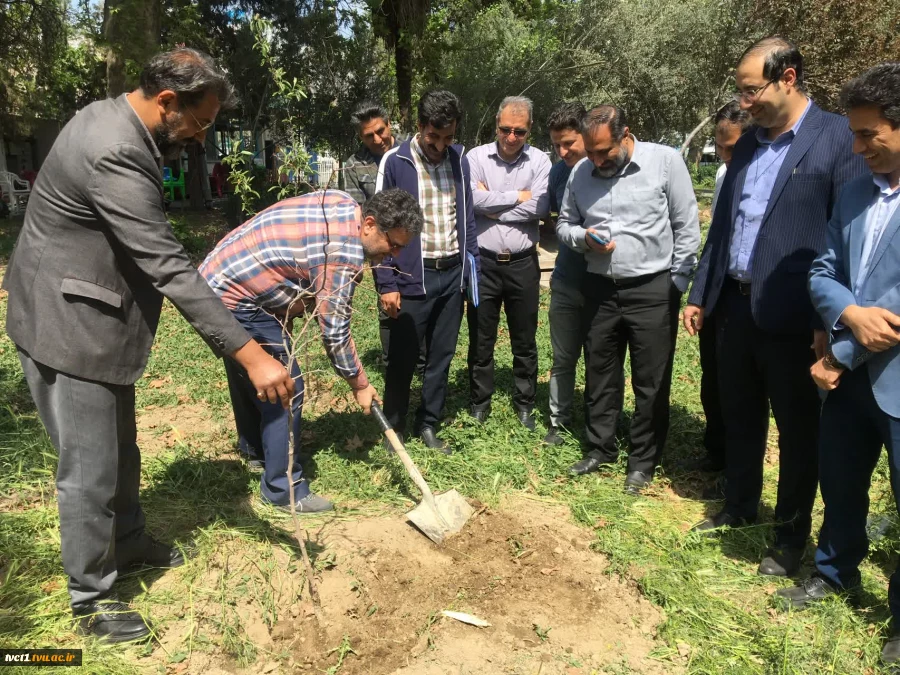 با حضور سرپرست دانشگاه ملی مهارت استان تهران صورت گرفت:

کاشت دو اصله نهال مثمر در پویش "نهال امید" در دانشکده فنی انقلاب اسلامی 5