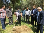 با حضور سرپرست دانشگاه ملی مهارت استان تهران صورت گرفت:

کاشت دو اصله نهال مثمر در پویش 