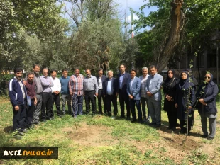 با حضور سرپرست دانشگاه ملی مهارت استان تهران صورت گرفت:

کاشت دو اصله نهال مثمر در پویش "نهال امید" در دانشکده فنی انقلاب اسلامی 2