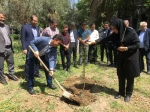 با حضور سرپرست دانشگاه ملی مهارت استان تهران صورت گرفت:

کاشت دو اصله نهال مثمر در پویش 