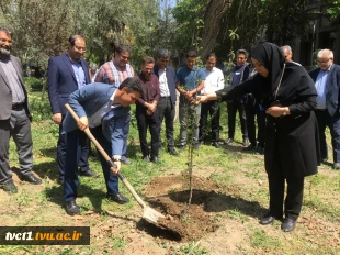 با حضور سرپرست دانشگاه ملی مهارت استان تهران صورت گرفت:

کاشت دو اصله نهال مثمر در پویش "نهال امید" در دانشکده فنی انقلاب اسلامی 3