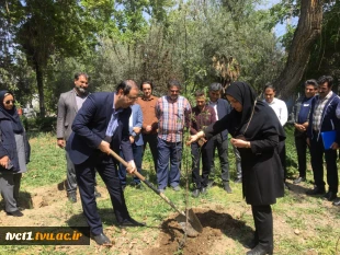 با حضور سرپرست دانشگاه ملی مهارت استان تهران صورت گرفت:

کاشت دو اصله نهال مثمر در پویش "نهال امید" در دانشکده فنی انقلاب اسلامی 3