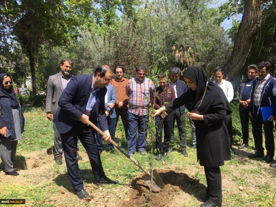 با حضور سرپرست دانشگاه ملی مهارت استان تهران صورت گرفت:

کاشت دو اصله نهال مثمر در پویش "نهال امید" در دانشکده فنی انقلاب اسلامی 3