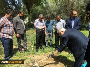 با حضور سرپرست دانشگاه ملی مهارت استان تهران صورت گرفت:

کاشت دو اصله نهال مثمر در پویش "نهال امید" در دانشکده فنی انقلاب اسلامی 4