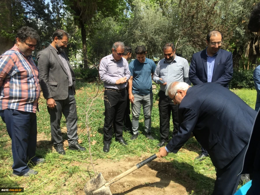 با حضور سرپرست دانشگاه ملی مهارت استان تهران صورت گرفت:

کاشت دو اصله نهال مثمر در پویش "نهال امید" در دانشکده فنی انقلاب اسلامی 4