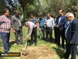با حضور سرپرست دانشگاه ملی مهارت استان تهران صورت گرفت:

کاشت دو اصله نهال مثمر در پویش "نهال امید" در دانشکده فنی انقلاب اسلامی 4
