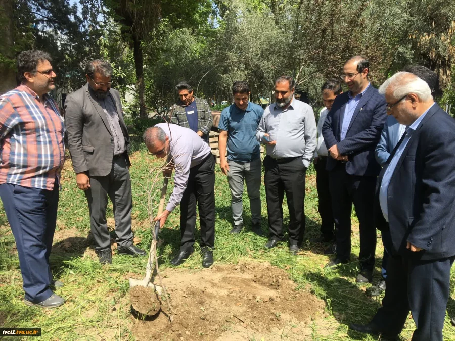 با حضور سرپرست دانشگاه ملی مهارت استان تهران صورت گرفت:

کاشت دو اصله نهال مثمر در پویش "نهال امید" در دانشکده فنی انقلاب اسلامی 4
