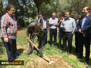 با حضور سرپرست دانشگاه ملی مهارت استان تهران صورت گرفت:

کاشت دو اصله نهال مثمر در پویش "نهال امید" در دانشکده فنی انقلاب اسلامی 5
