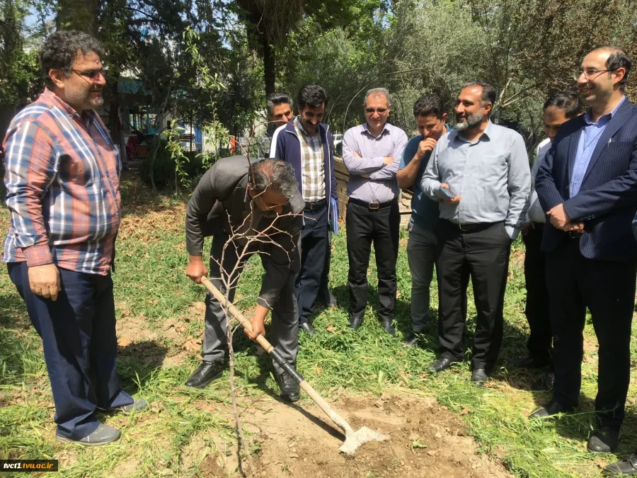 با حضور سرپرست دانشگاه ملی مهارت استان تهران صورت گرفت:

کاشت دو اصله نهال مثمر در پویش "نهال امید" در دانشکده فنی انقلاب اسلامی 5