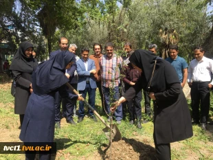 با حضور سرپرست دانشگاه ملی مهارت استان تهران صورت گرفت:

کاشت دو اصله نهال مثمر در پویش "نهال امید" در دانشکده فنی انقلاب اسلامی 6
